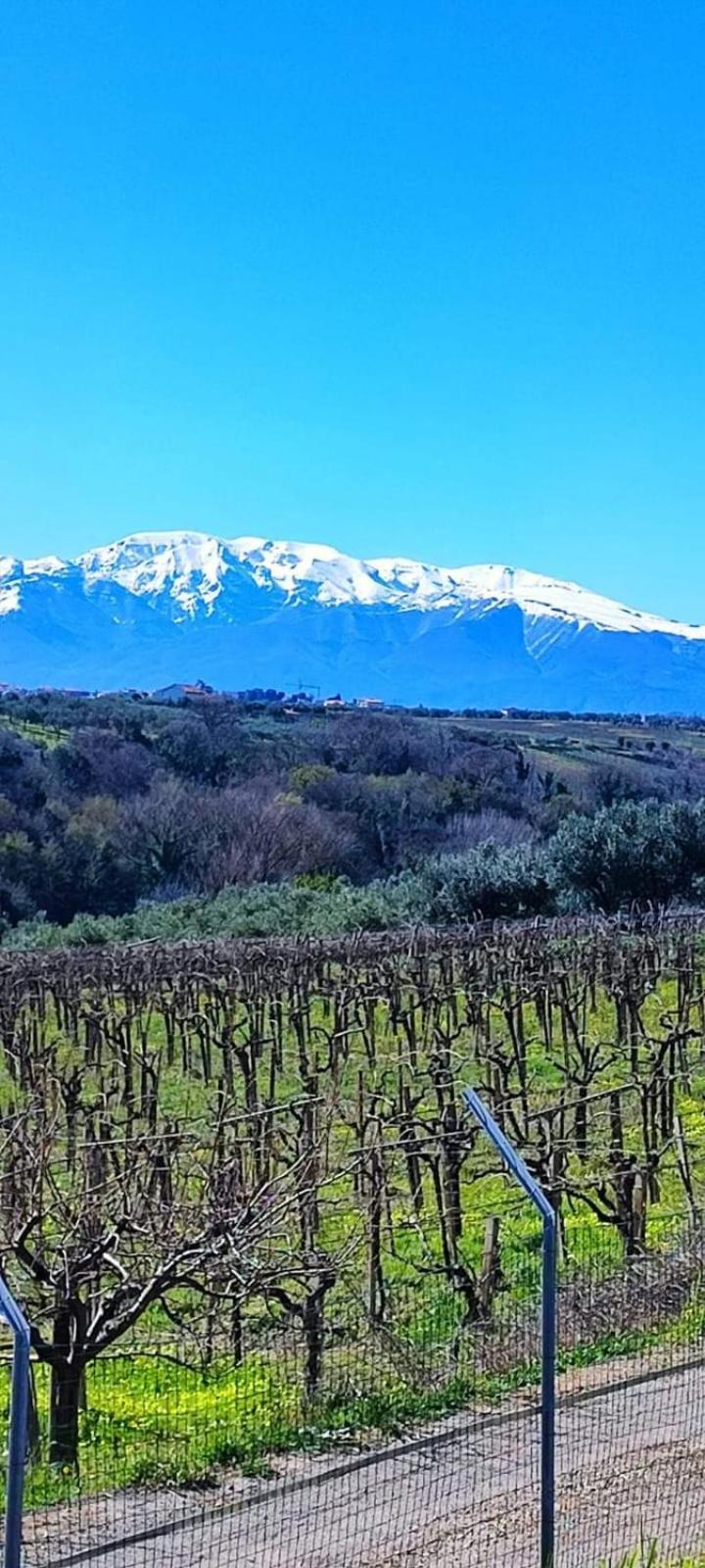 奥托纳La Finestra D'Abruzzo公寓 外观 照片